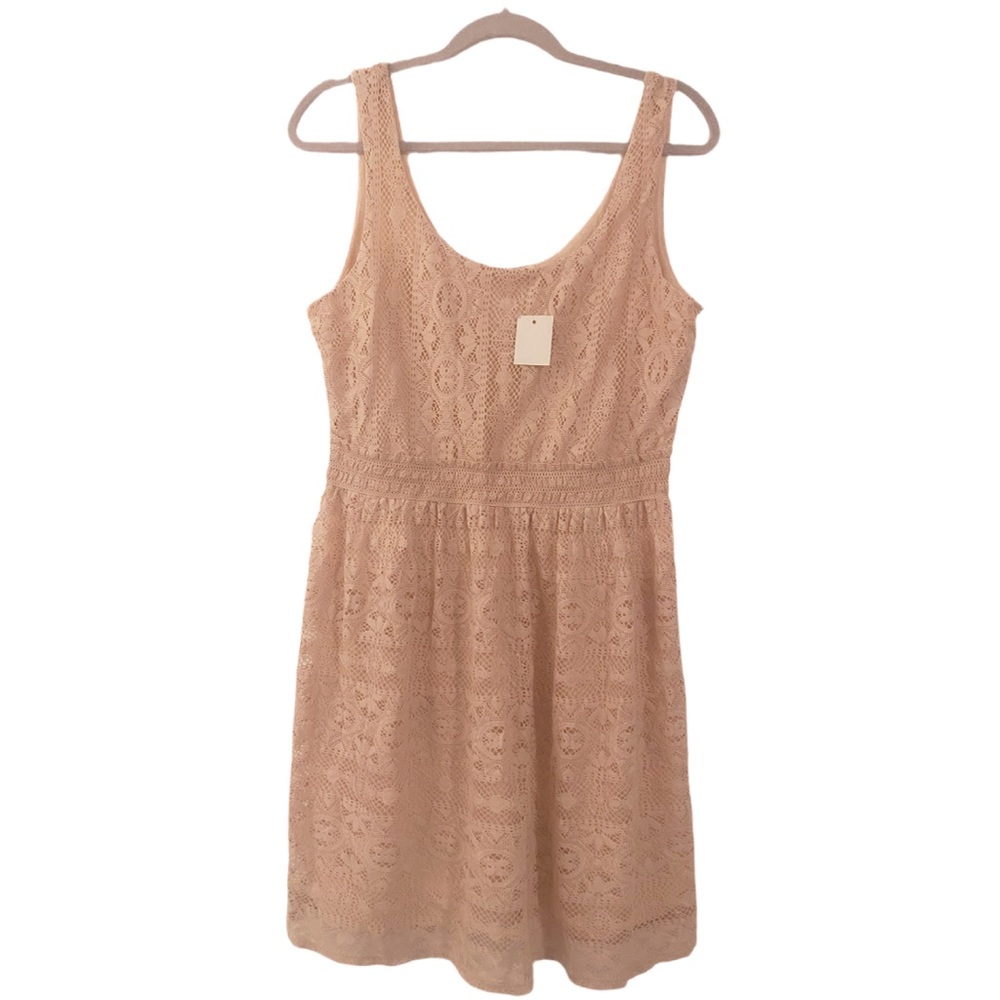 Elegant Beige Lace Dress